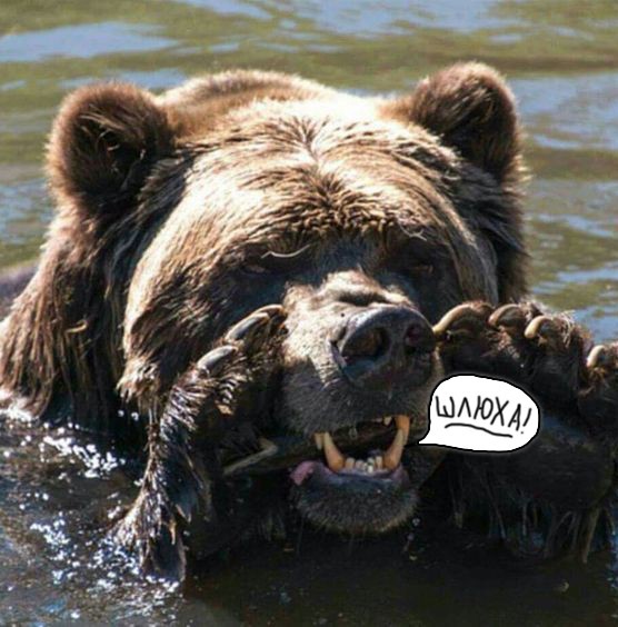 Содержанки