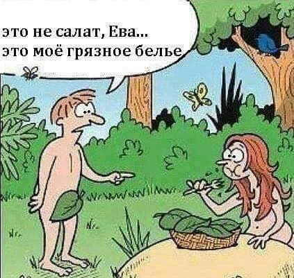 Мужу: "Что это было?!"