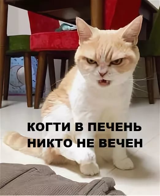 Такой КАЙФ обломал