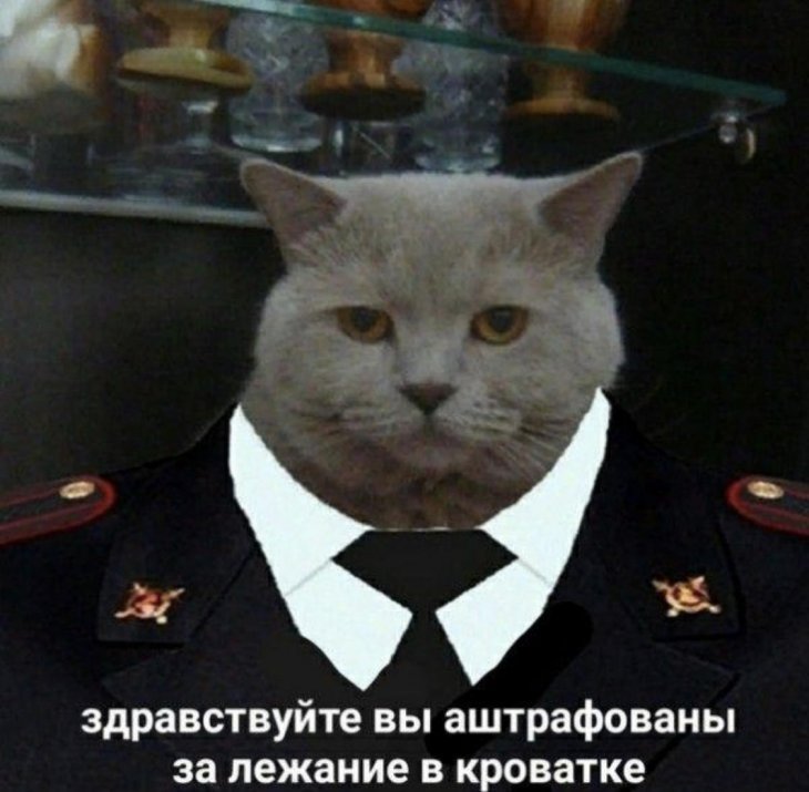13587456.jpg