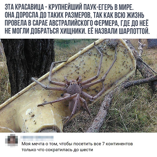 Картинки с претензией на юмор. Старые - 4