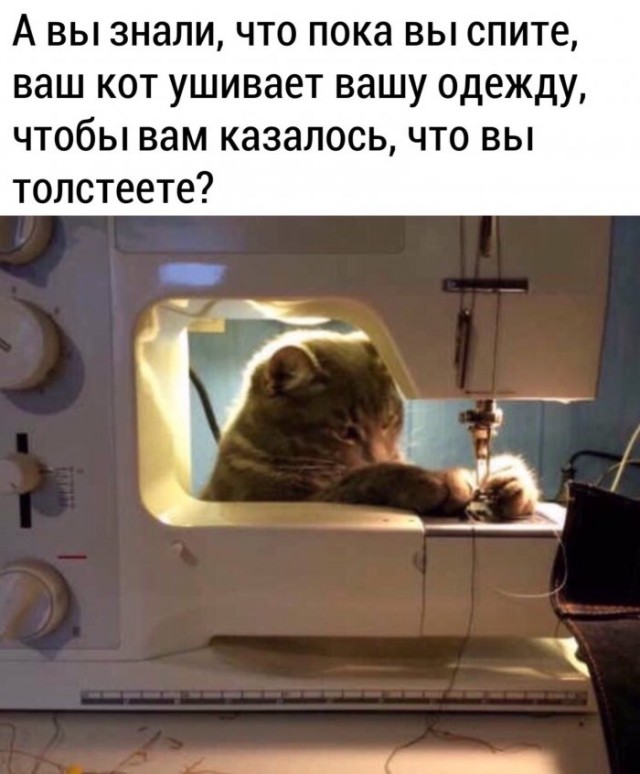 Немного картинок для настроения 05.05.20