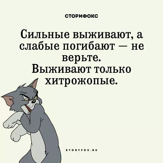 Немного картинок для настроения 17.11.20