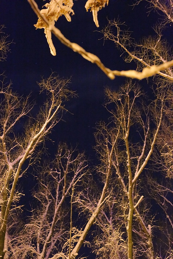 Про макросъемку и Tamron 90/2.8