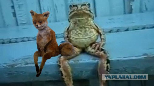 Таксидермия + наркомания