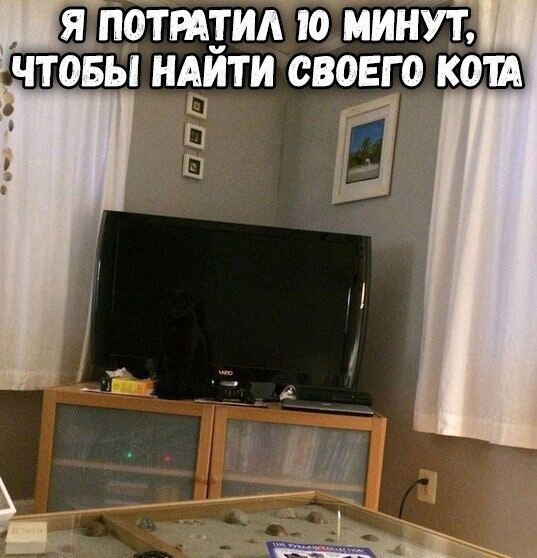 Так себе картинки 25.06.21