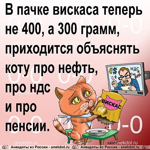 Совсем уже обнаглели, у котиков отжимают еду