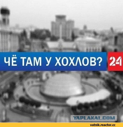 Москвичей возмутила продажа моркови по цене ананасов