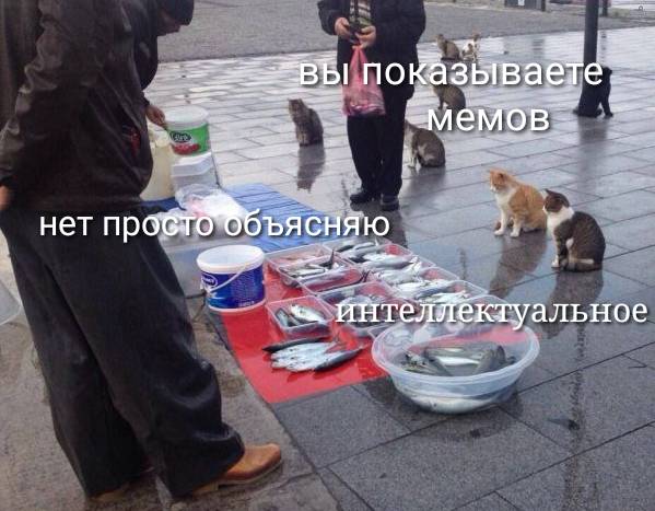 Подробное толкование мема "про рыбов и котиков" для чайников. Часть I