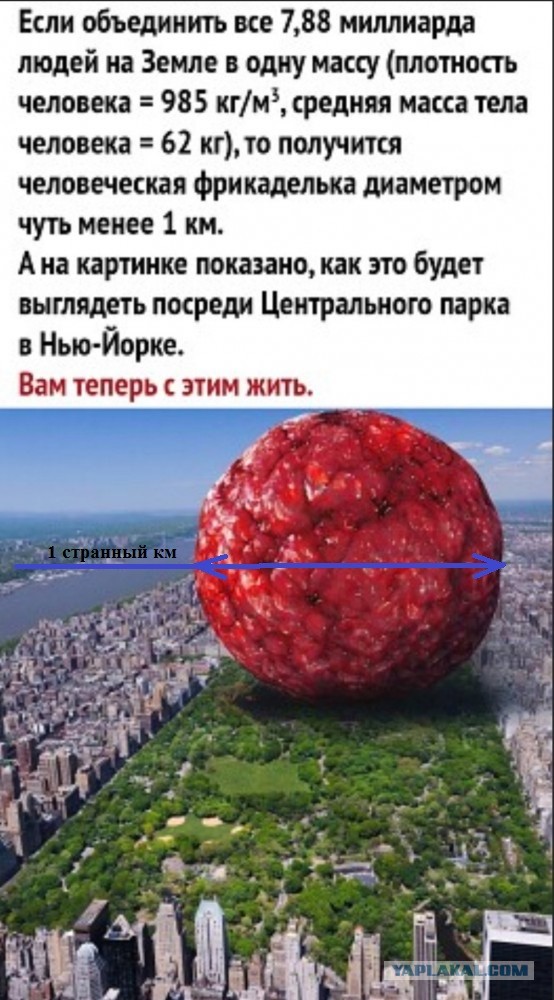 Бредзона 22.08.21