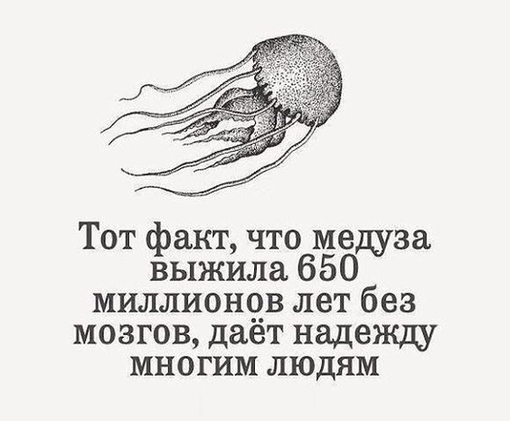 Сотрудник банка попытался вразумить пенсионерку, которая разговаривала по телефону с мошенниками