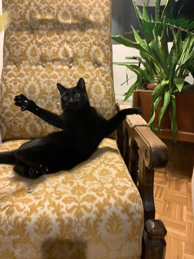 Котовторниковское