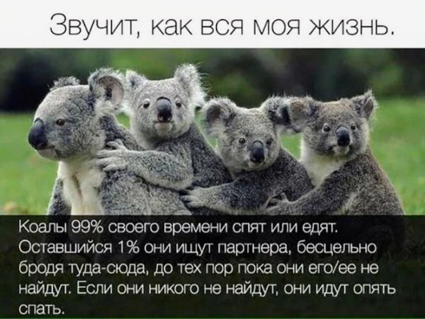 Картинки и мемы для настроения - 21