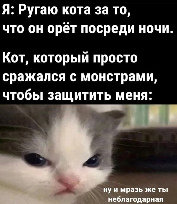 Так себе картинки 17.07.22