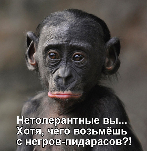 В Нью-Йорке призвали переименовать «оспу обезьян» из-за чувств чернокожих