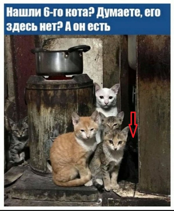 Прикольные и просто красивые картинки 11.11.2022