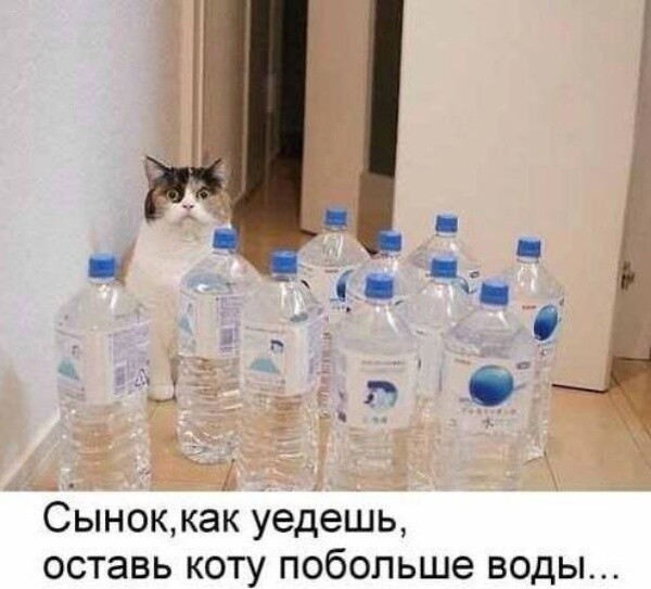 Юмор в картинках и без 16.02.2023