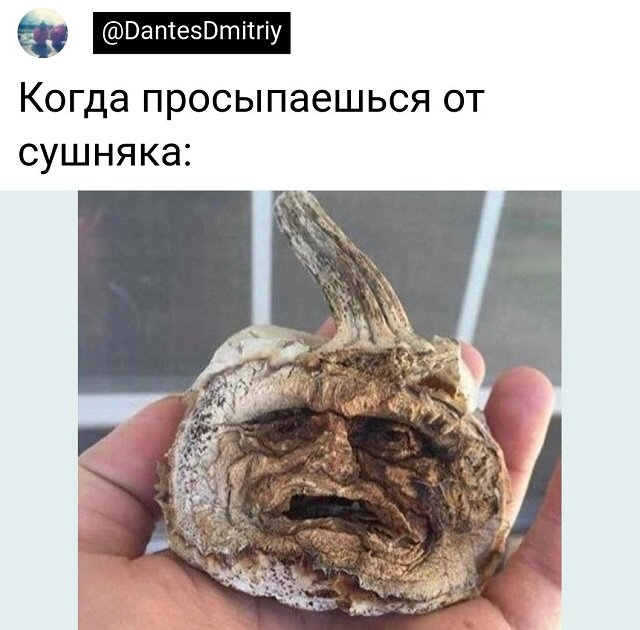 Картинки и мемы, всем хороших выходных