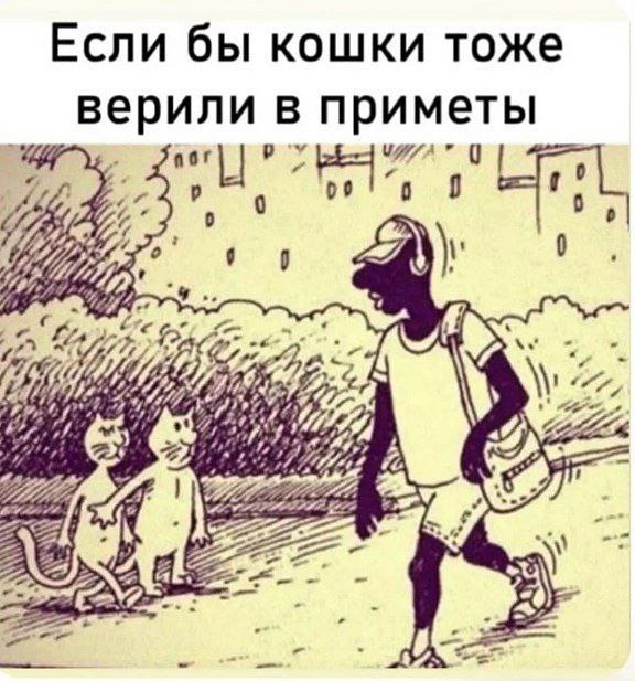 Подборка картинок