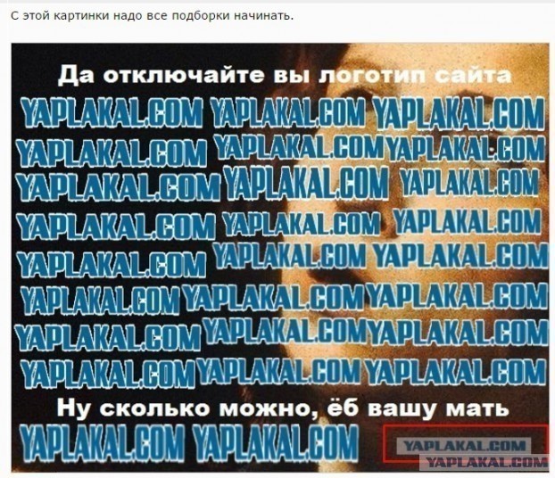 Путешествие. Терский берег и Карелия