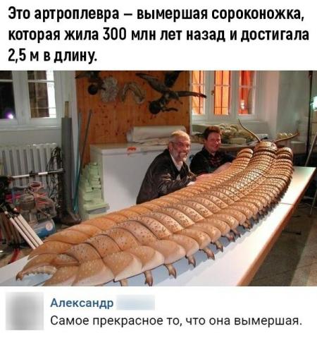 О природе стульев