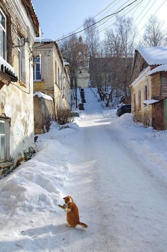 Прикольные и просто красивые картинки 02.02.2024
