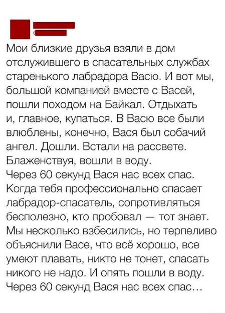 Весёлый полтишок 10.06.24