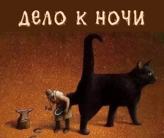 Нуштош 11.10.2024