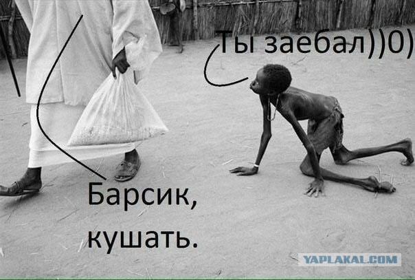 Деградируем и подпеваем - v. 2,0