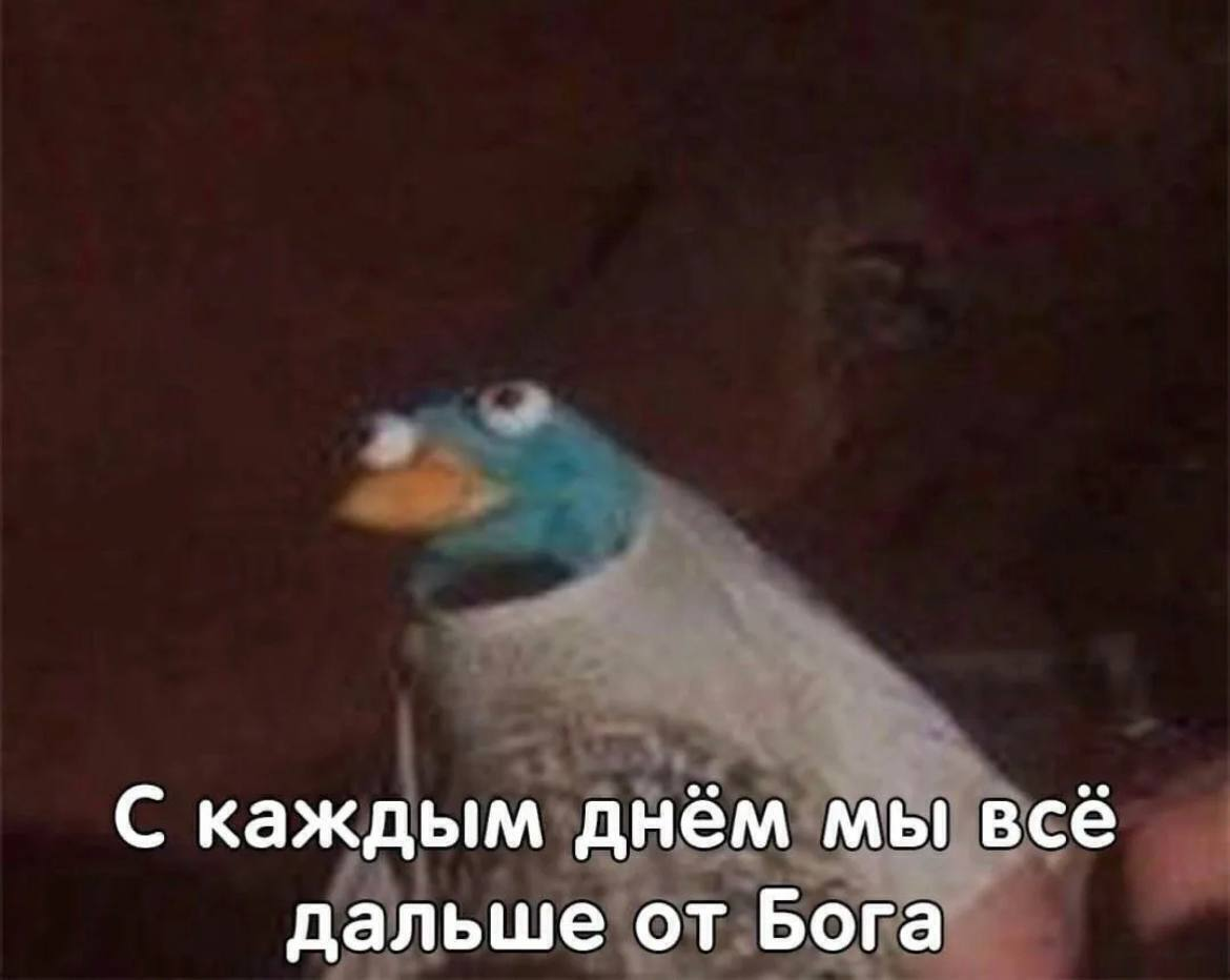 «Тугие писечки» для миллионера: скандальная реклама косметолога из Уфы