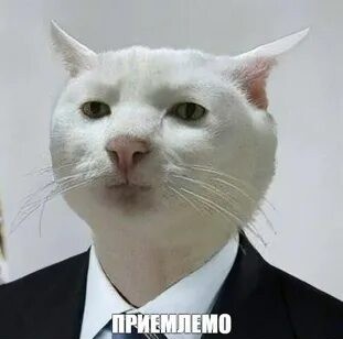 Ну реально, Он ее тормозил, это его вина!