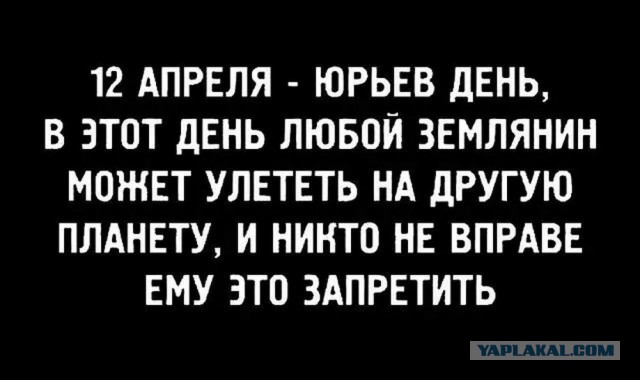 Своеобразный юмор картинок