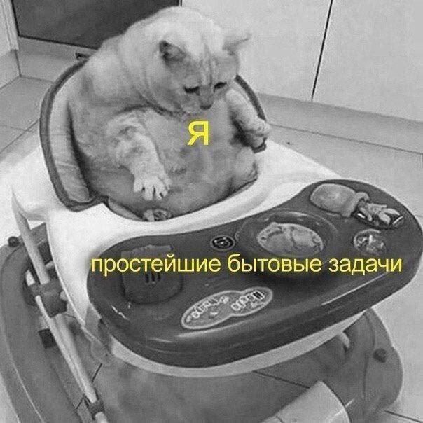 Весёлый полтишок 22.07.25