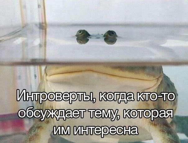 Веселые картинки в маленькую пятницу (24.09)