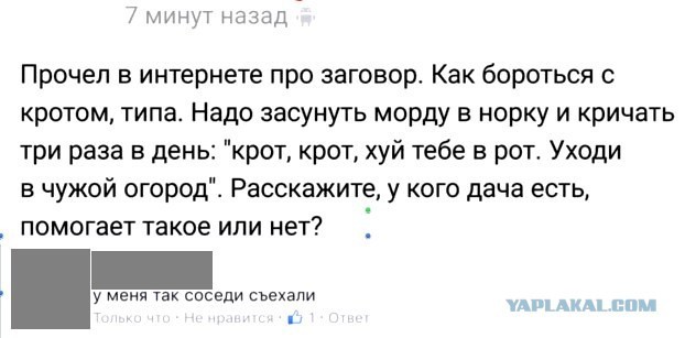 Москвич показал, как бороться с кротами на этаже