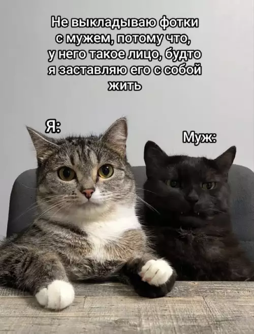 Так себе картинки 06.11.25