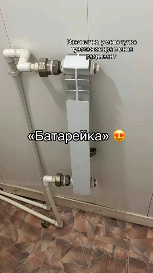 20588456.jpg