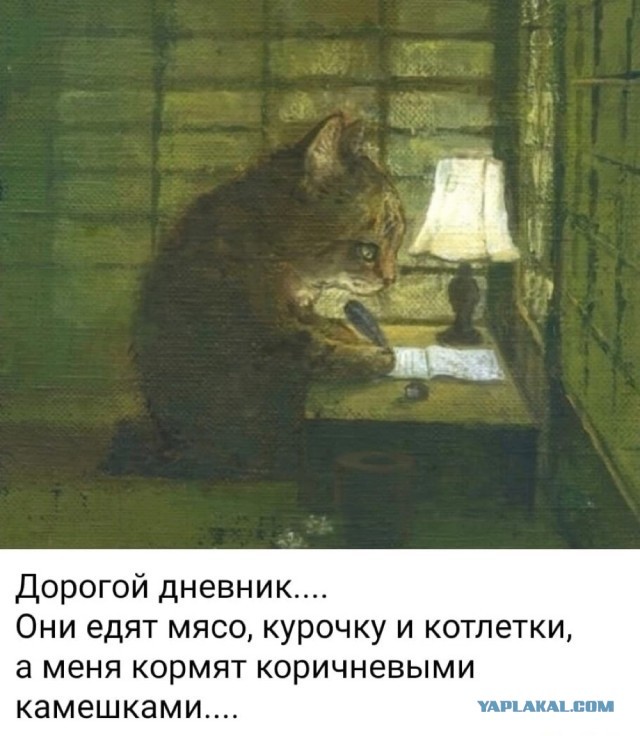 Каша - это вещь!