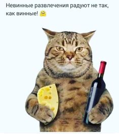 Долина на отдыхе с дочерью и внучкой в Абу Даби.