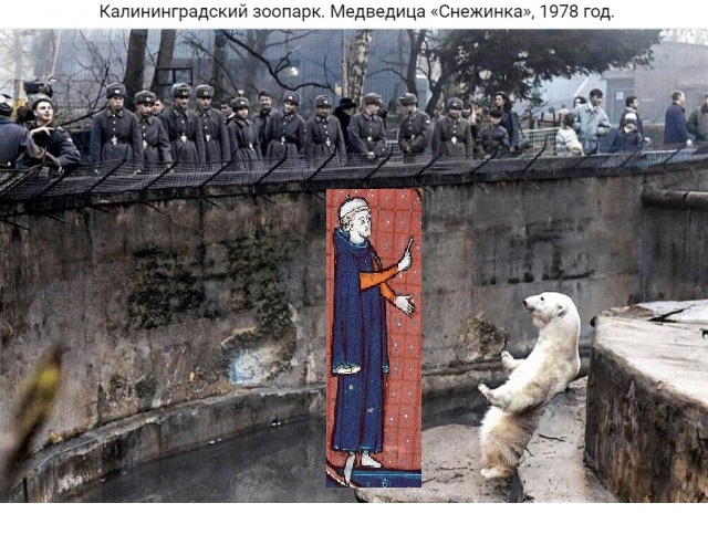 Картиночки, баянчики 10 февраля