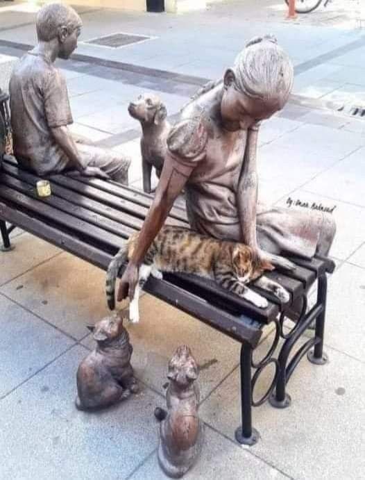Возлюби кота ближнего своего
