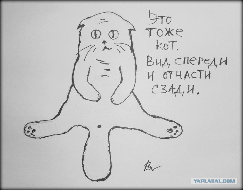 Путин рисует кота