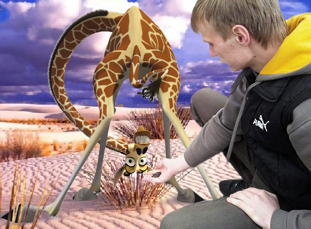Хочу кормить диких животных