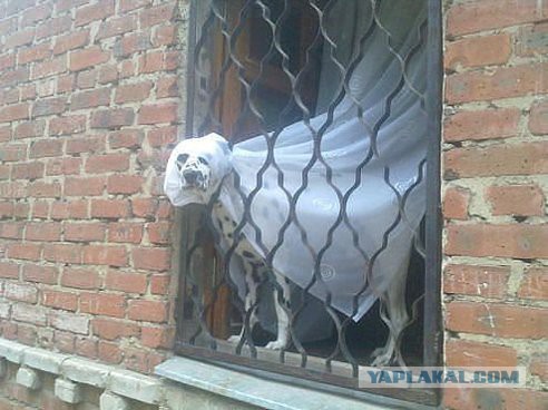 Позитивные картинки