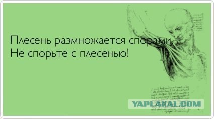 Операция «Восток»