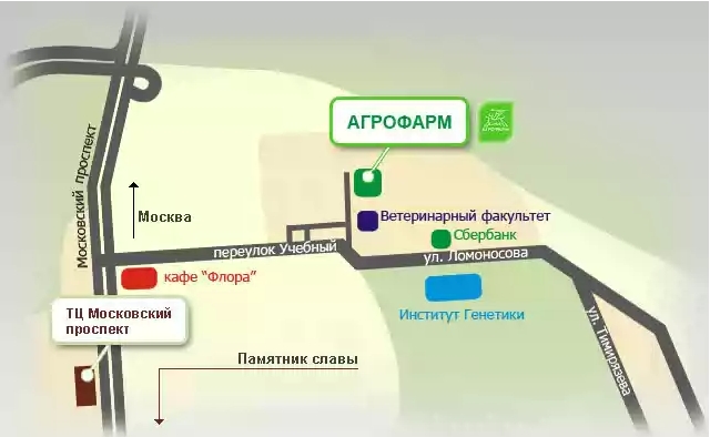 Россию не победить