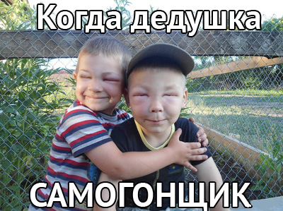 Когда дедушка пчеловод..