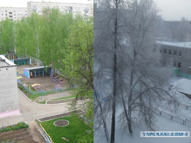 Времена года в фотографиях