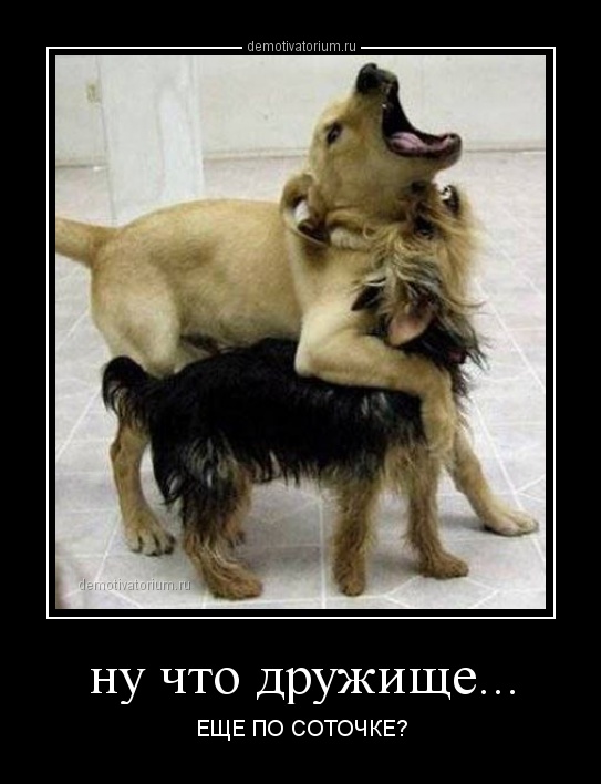 Демотиваторов пост