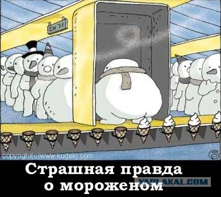 Прокат водных мотоциклов